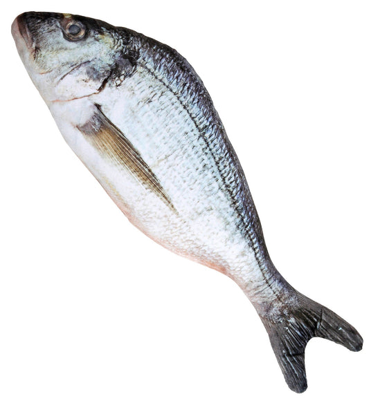 Realistische 55 cm lange Fischattrappe mit 3D-Skalierung und fotorealistischer Oberfläche.