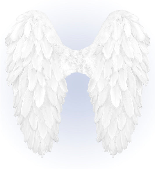 Widmann Weiße Faltbare Federflügel – 50x50cm - Fasnacht24.ch