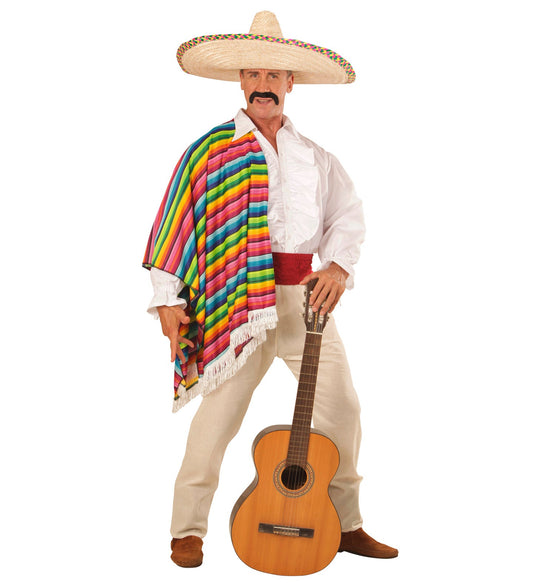 Man in white ruffled pirate shirt, Renaissance style, holding guitar.