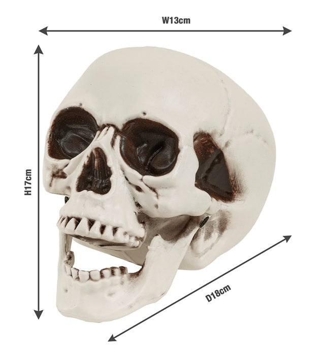 "TOTENKOPF MIT BEWEGLICHEM KIEFER" 18 cm