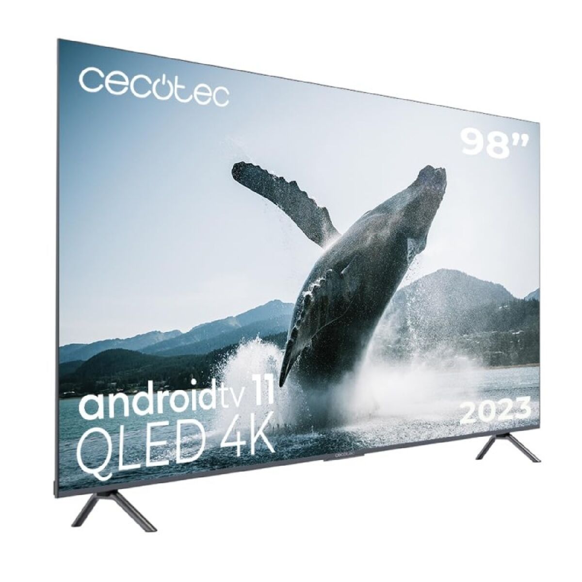 TV, Video und Heimkino