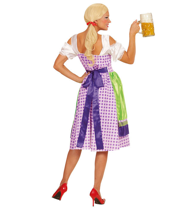 Traditionelles Dirndl Kleid mit Schürze für Fasnacht und Karneval