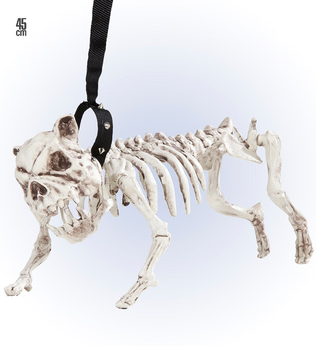 Hundeskelett mit Leine 45 cm als gruselige Halloween-Dekoration