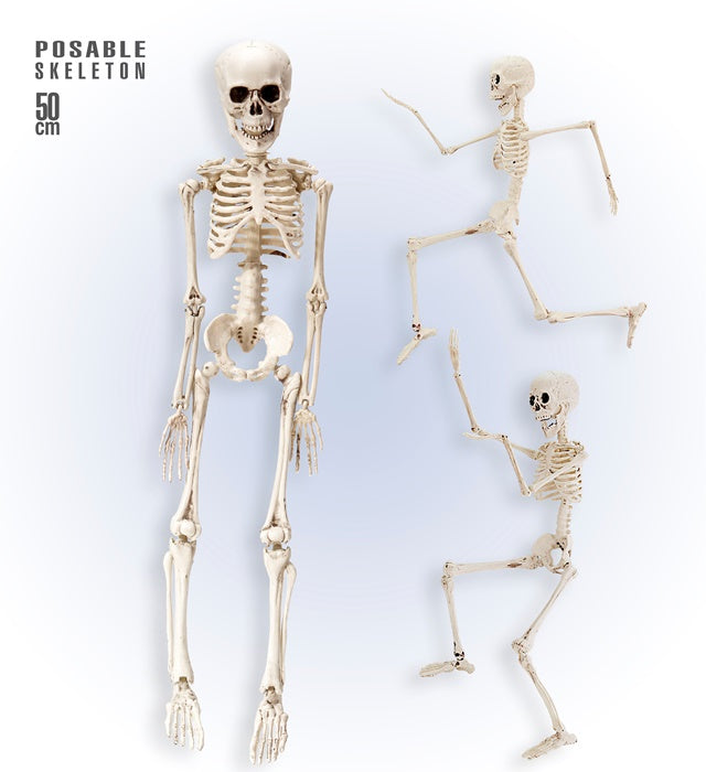 Bewegliches Skelett 50 cm aus Kunststoff für Halloween-Dekoration