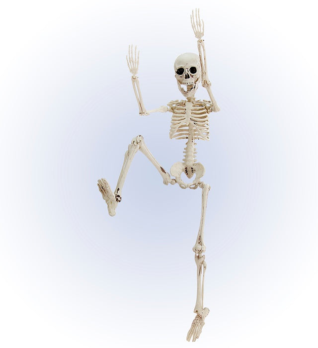 Bewegliches Skelett 50 cm aus Kunststoff für Halloween-Dekoration