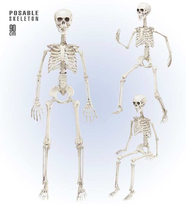 Bewegliches Skelett 90 cm als Fasnachts- und Halloween-Deko