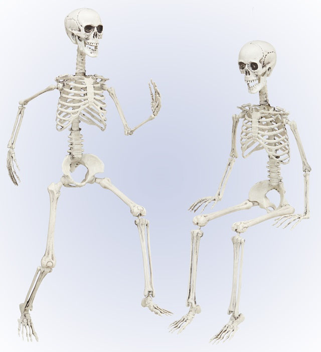 Bewegliches Skelett 90 cm als Fasnachts- und Halloween-Deko