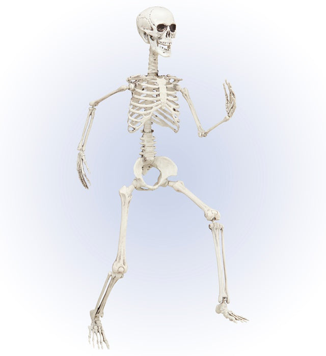 Bewegliches Skelett 90 cm als Fasnachts- und Halloween-Deko