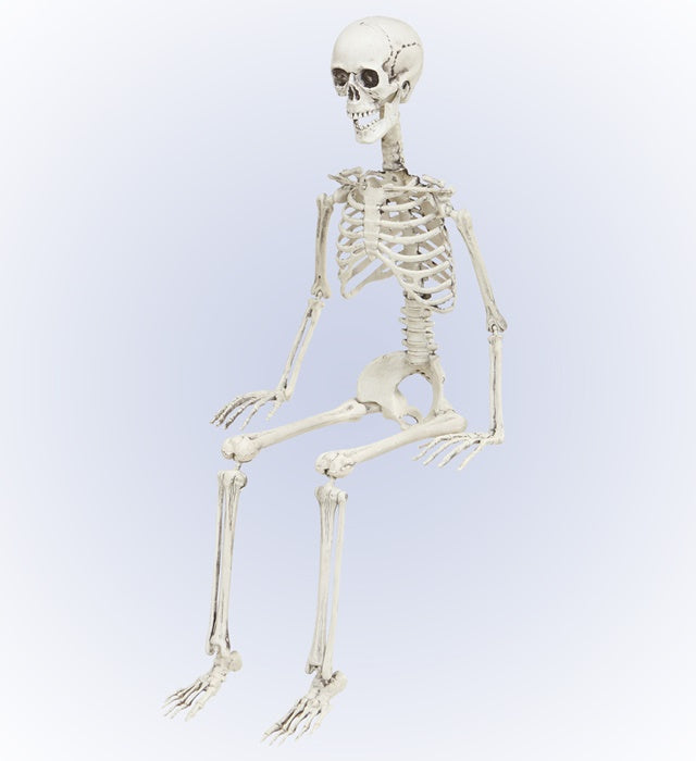 Bewegliches Skelett 90 cm als Fasnachts- und Halloween-Deko
