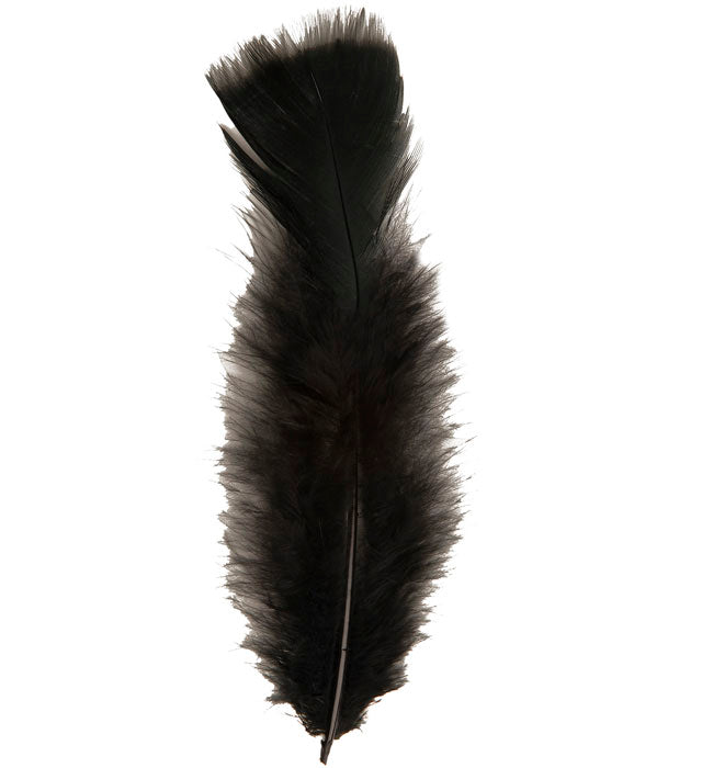 50 schwarze Federn ca. 10 cm lang als Fasnacht-Dekoration