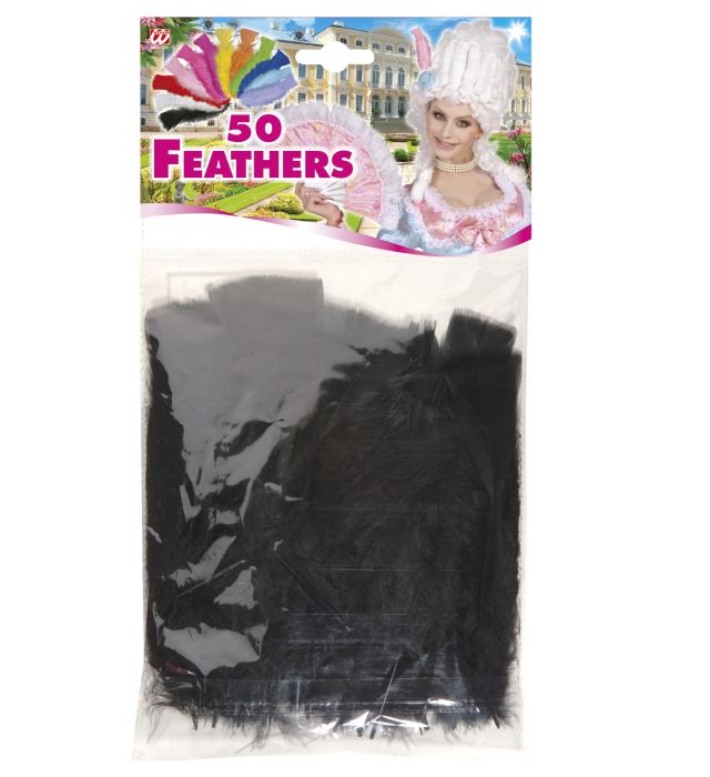 50 schwarze Federn ca. 10 cm lang als Fasnacht-Dekoration