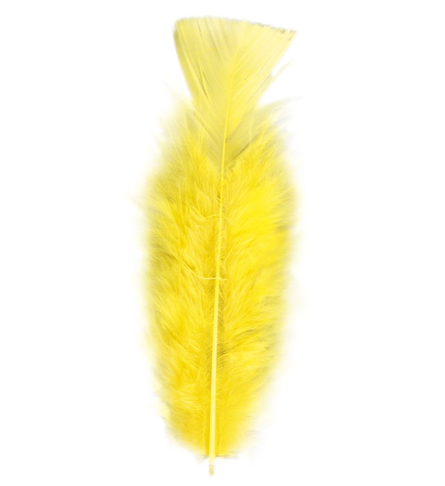 Gelbe Federn ca. 10 cm lang, 50 Stück für Fasnacht und Kostüme
