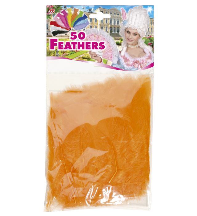 50 orange Federn ca. 10 cm für Fasnacht und Karneval