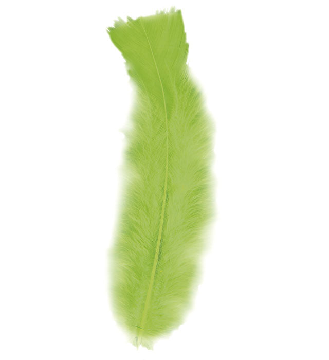 50 grüne Federn ca. 10 cm für Fasnacht und Dekoration