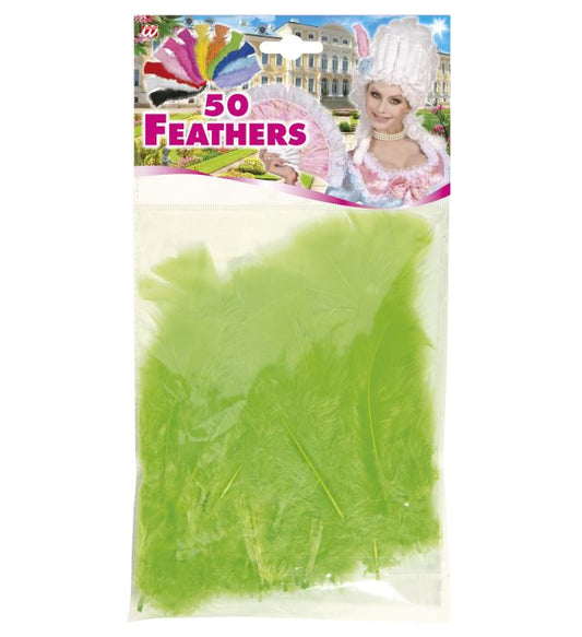 50 grüne Federn ca. 10 cm für Fasnacht und Dekoration