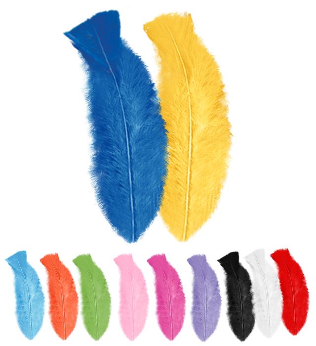 50 bunte Federn ca. 10 cm Länge zum Basteln und Dekorieren
