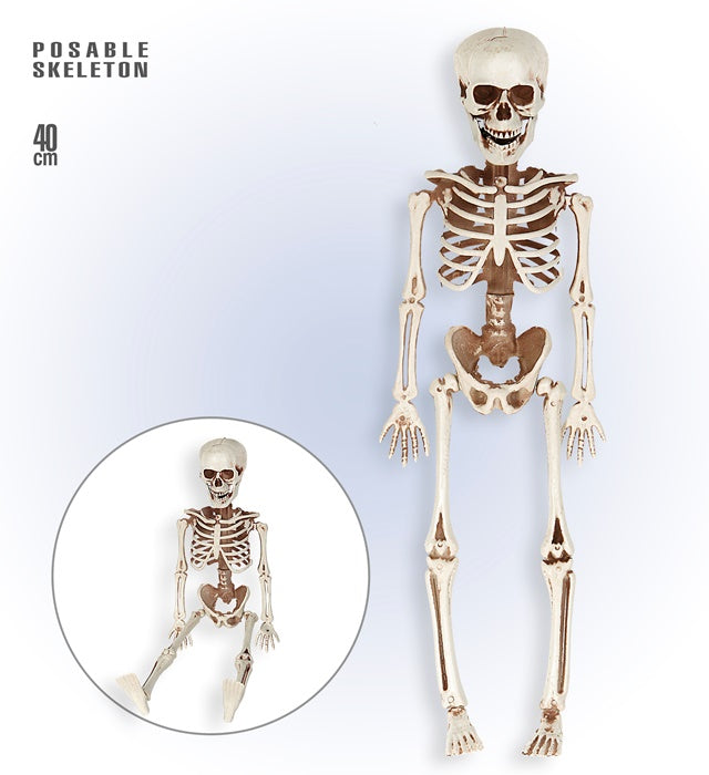 Bewegliches Skelett 40 cm als Halloween- und Fasnachtsdekoration