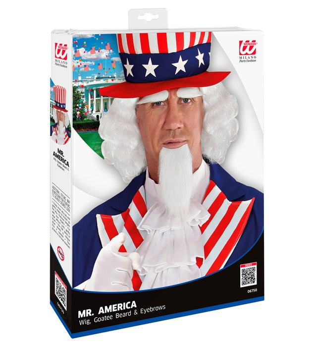 Mr. America Perücke mit blondem Spitzbart und Augenbrauen in Box