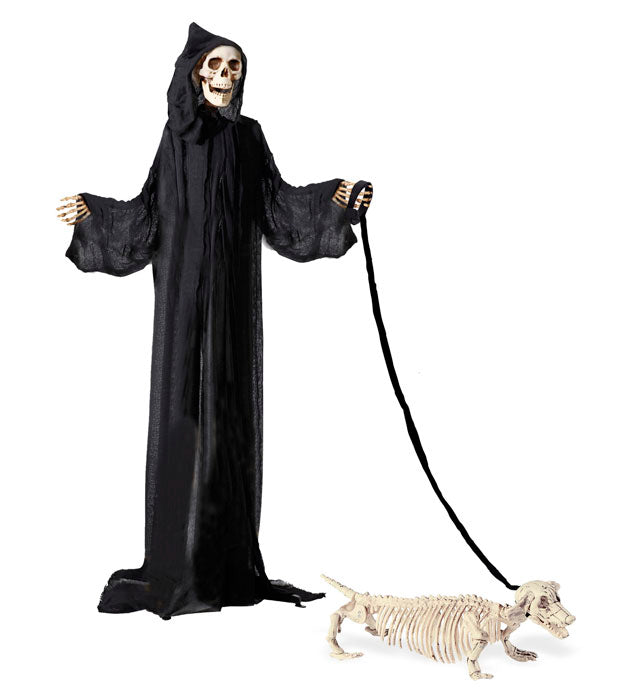 Dackelskelett mit Leine 55 cm gruselige Halloween-Dekoration