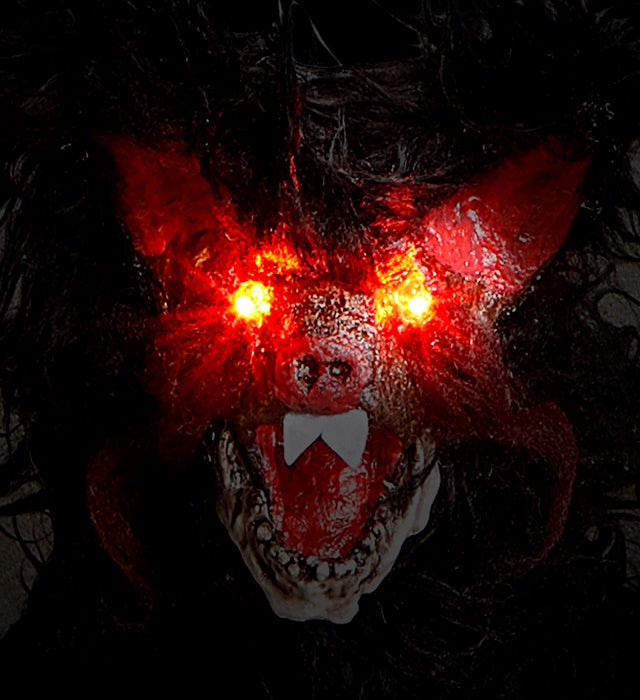 Haarige Fledermaus mit pulsierend blinkenden LED-Augen, 89 cm Spannweite
