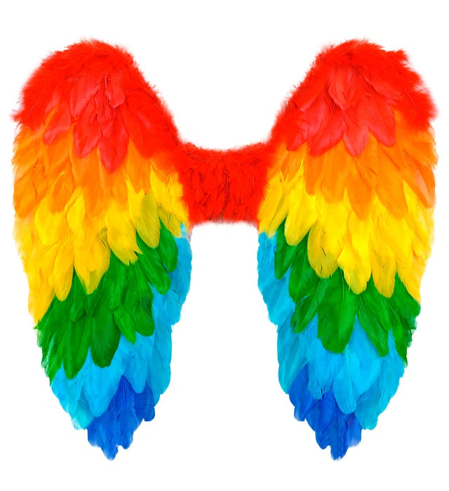 Bunte Regenbogen-Federflügel 50x50 cm für Fasnacht-Kostüme