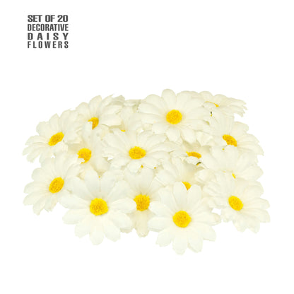 "20 DEKO GÄNSEBLÜMCHEN" – Vorderansicht