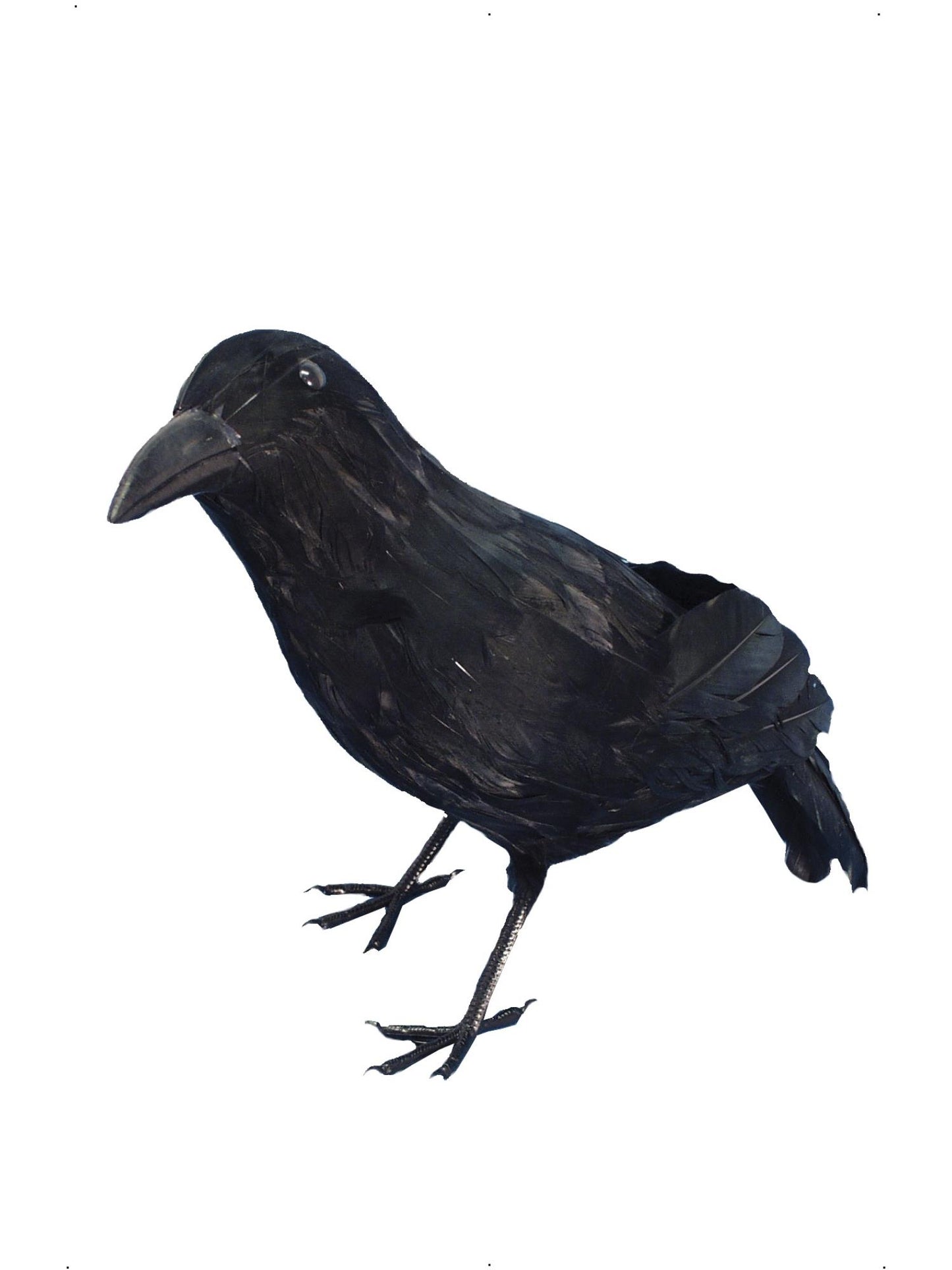Smiffys Crow, Black PG für Unisex