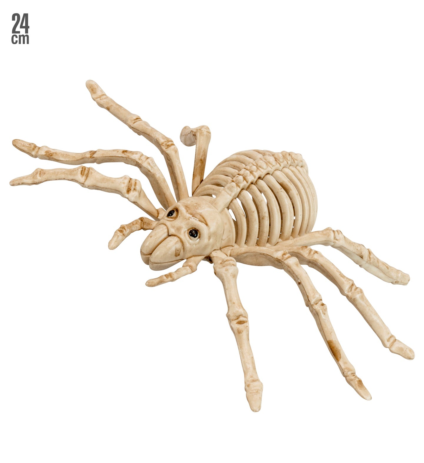 Spinnen-Skelett 24cm – Boland Halloween Raum- & Tischdekoration - Fasnacht24.ch