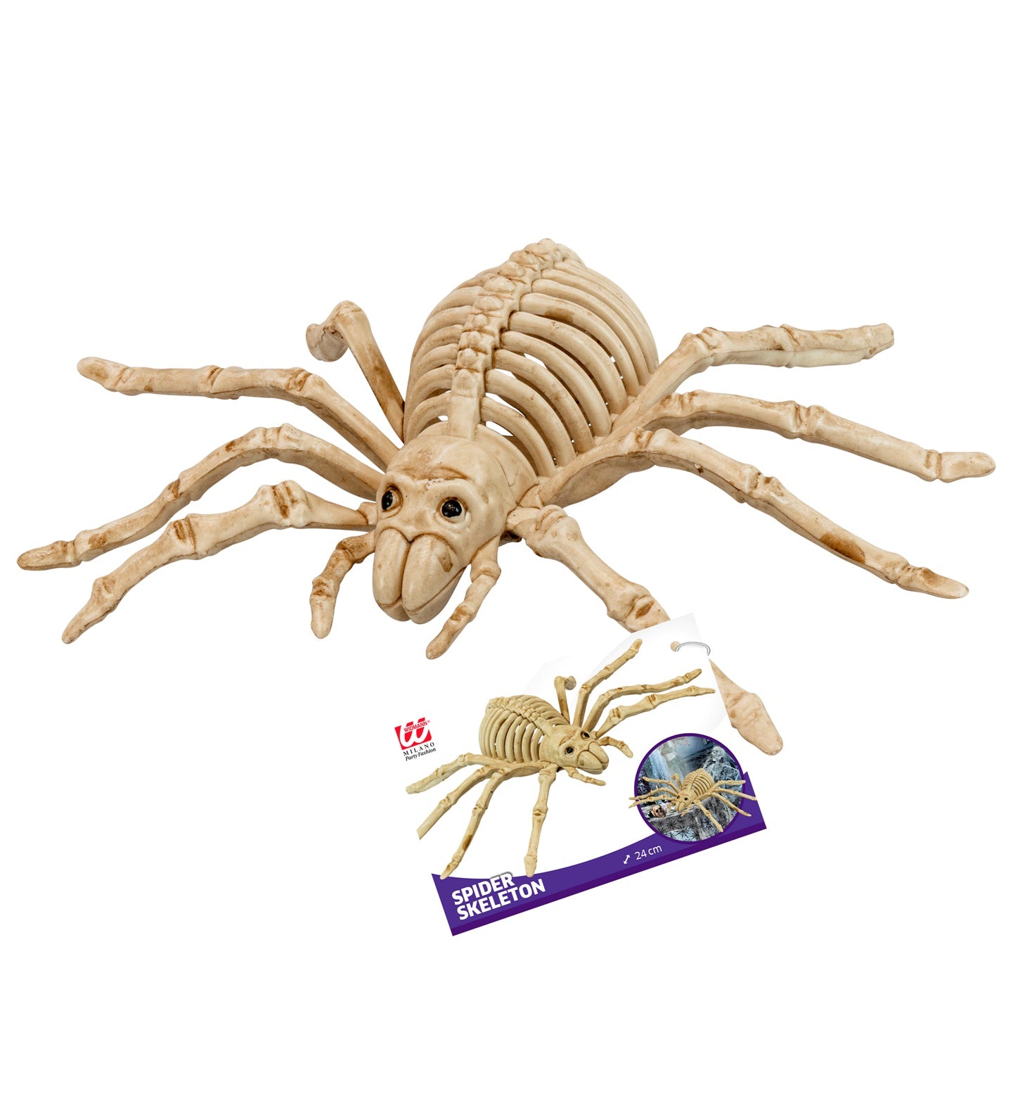 Spinnen-Skelett 24cm – Boland Halloween Raum- & Tischdekoration - Fasnacht24.ch