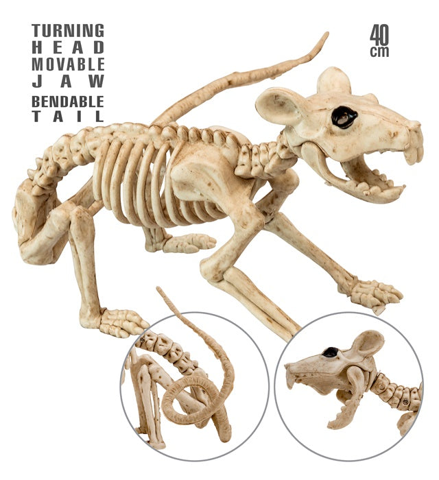 Ratten Skelett Dekofigur 40 cm auf weissem Hintergrund