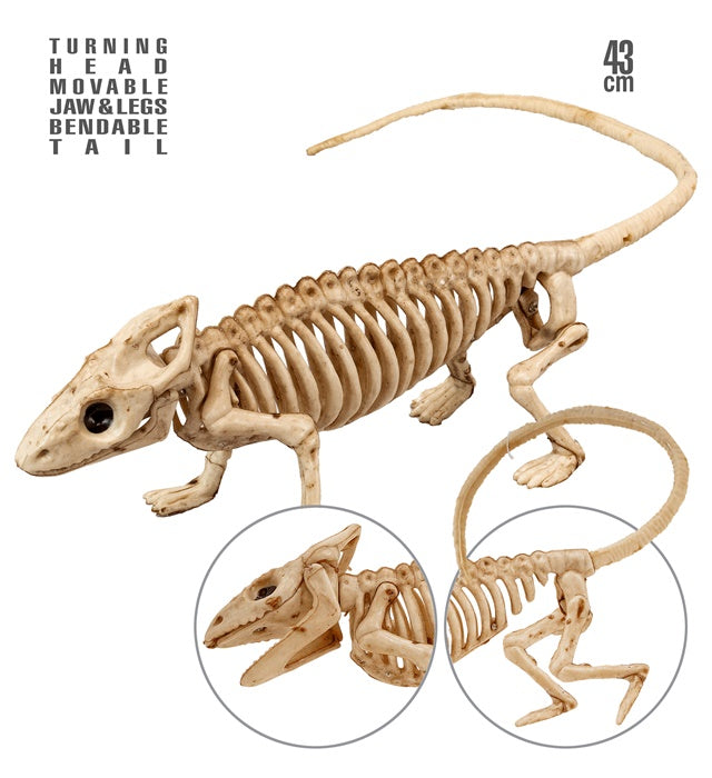 Leguan-Skelett 43 cm aus Kunststoff als Fasnachts- und Halloween-Dekoration