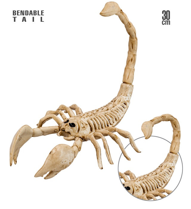 Skorpion Skelett Deko 30 cm für Halloween und Fasnacht