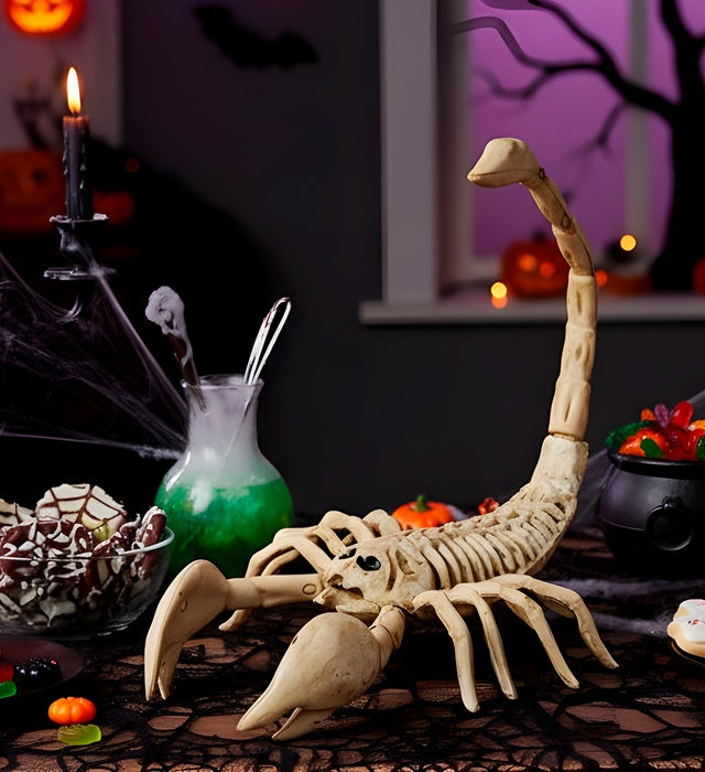 Skorpion Skelett Deko 30 cm für Halloween und Fasnacht