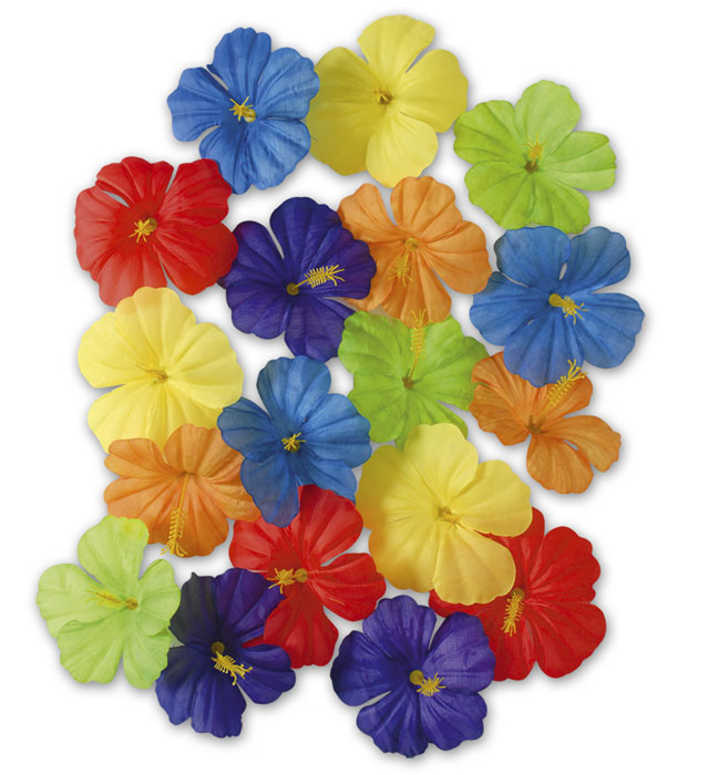Set mit 18 farbenfrohen Hibiskusblumen in verschiedenen Farben
