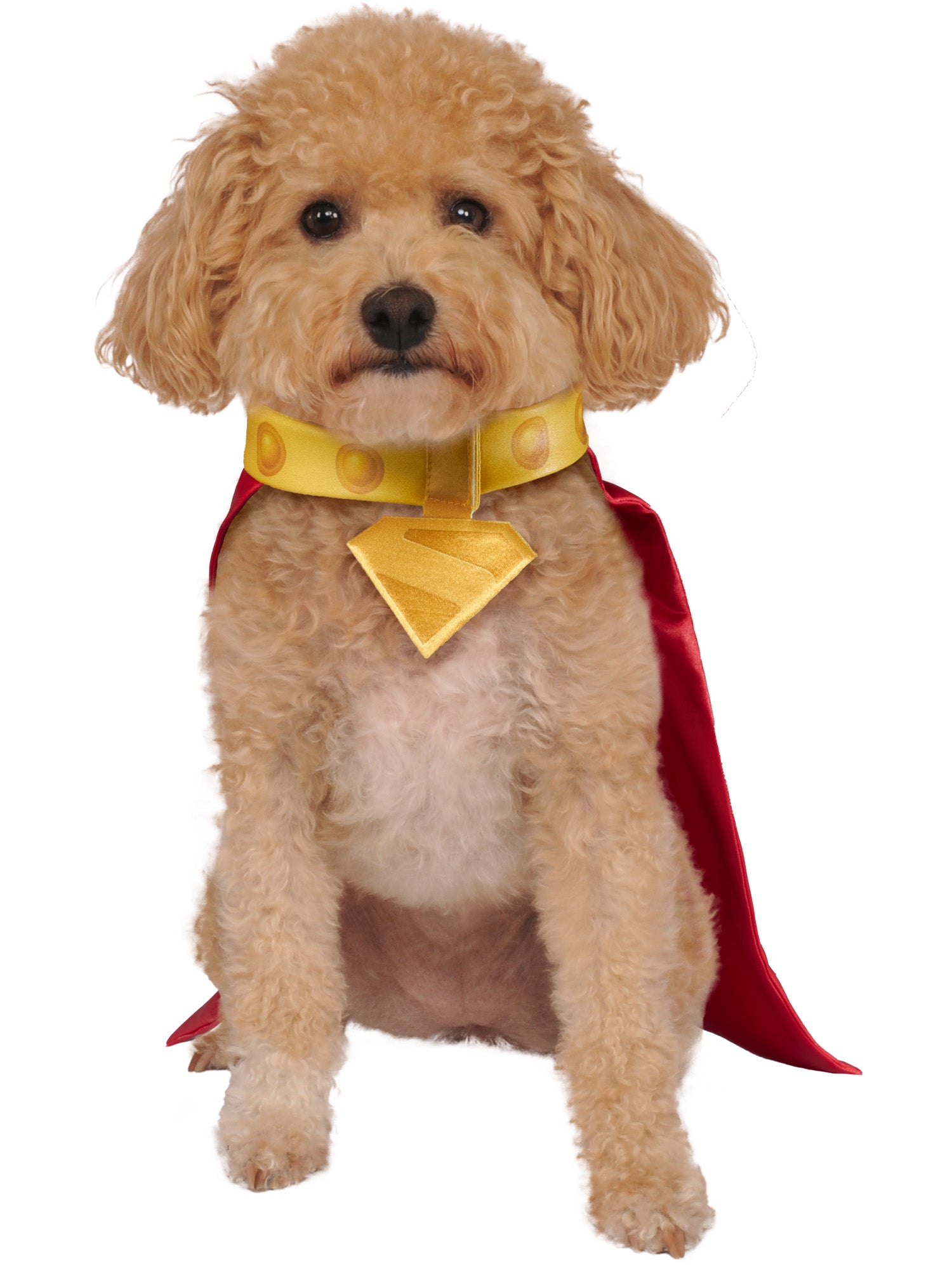Rubies Krypto Haustierkostüm mit Umhang und Halsband – Produktansicht