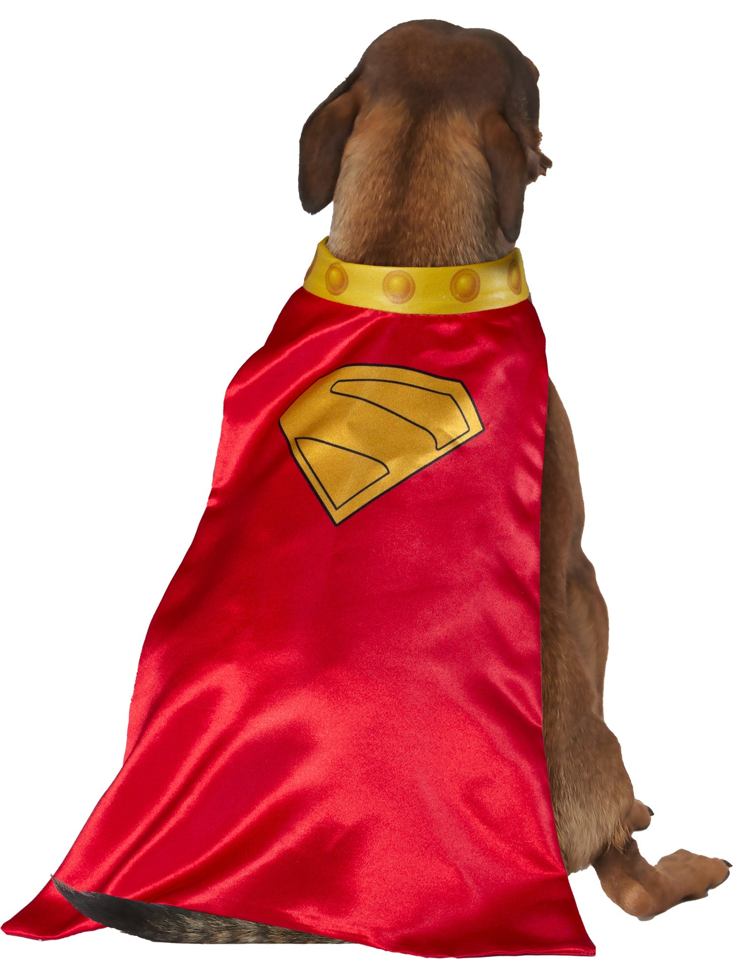 Rubies Krypto Haustierkostüm mit Umhang und Halsband – Detailansicht