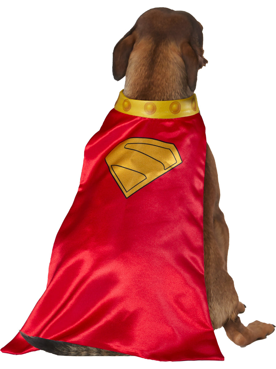 Rubies Krypto Haustierkostüm mit Umhang und Halsband – Detailansicht