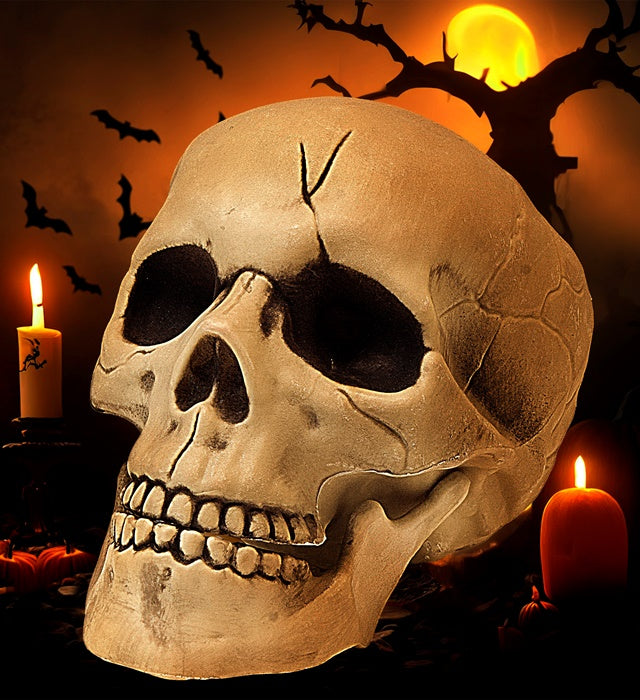 Kunststoff Totenkopf mit beweglichem Gebiss, 21 cm, Piratendeko