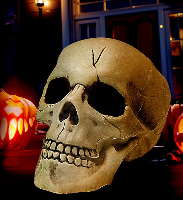 Kunststoff Totenkopf mit beweglichem Gebiss, 21 cm, Piratendeko