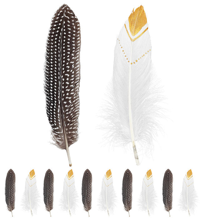 Set mit 12 bunten Indianerfedern in zwei Farben als Fasnacht Accessoire