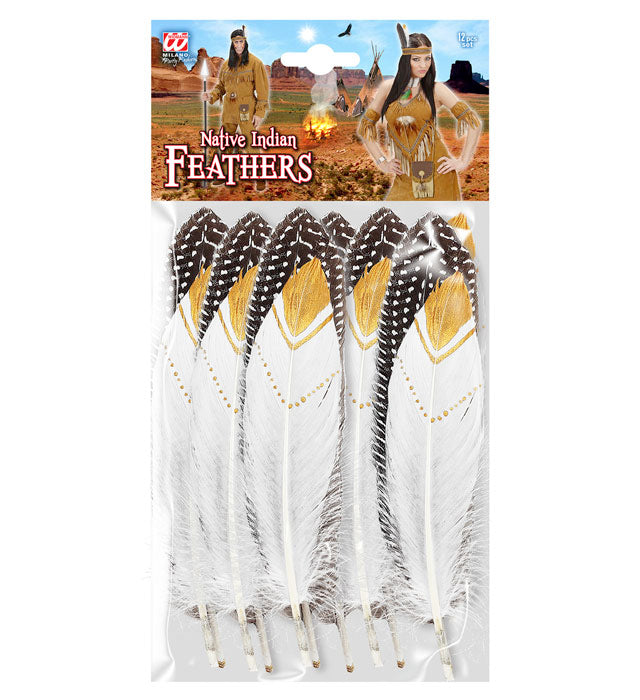 Set mit 12 bunten Indianerfedern in zwei Farben als Fasnacht Accessoire