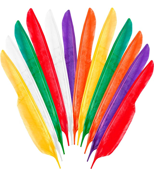 Set mit 12 bunten Indianerfedern 35 cm Länge in verschiedenen Farben