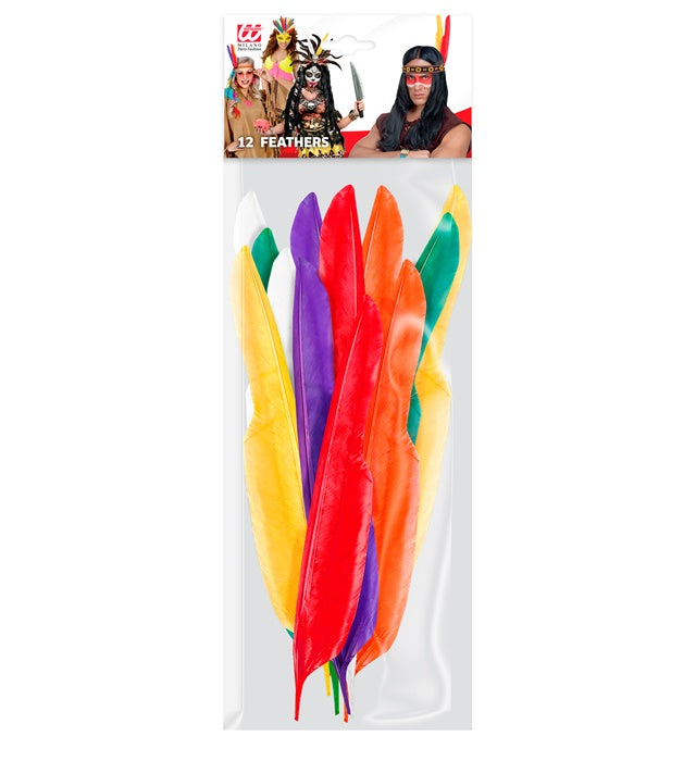 Set mit 12 bunten Indianerfedern 35 cm Länge in verschiedenen Farben
