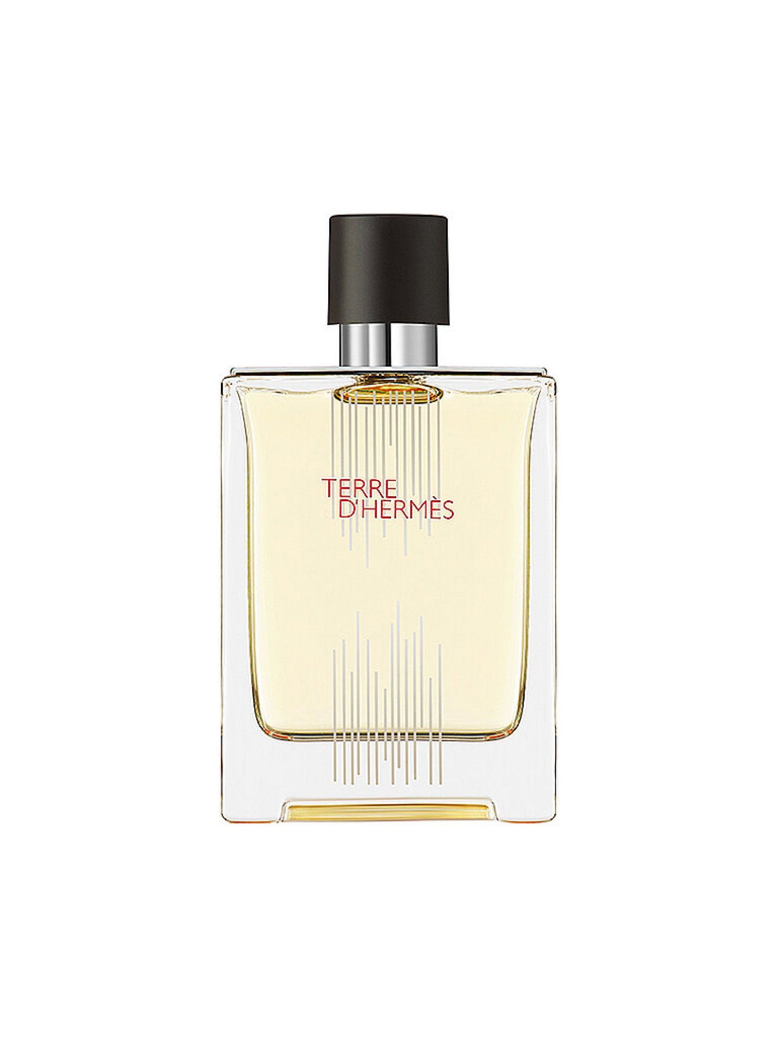 Hermes Hermes, Terre d'Hermes Flacon H Limited Edition, Eau de Toilette, Für Männer, 100 ml Regular