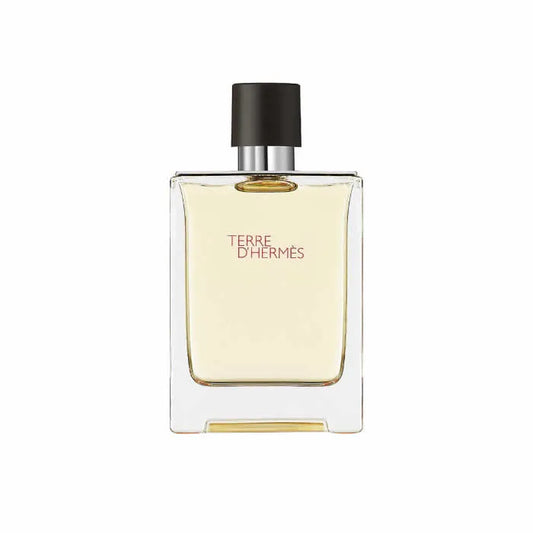 HERMÈS HERMÈS Terre d’Hermes Eau de Toilette Spray 100 ml Herrenparfum Parfüm