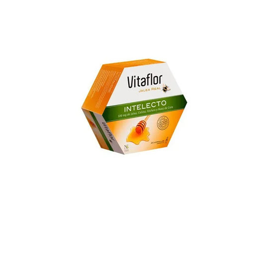 VITAFLOR VITAFLOR Jalea Real Intelecto 20 Ampullen Kosmetikpflege