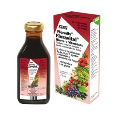 FLORAVITAL Floravital Floradix 250 ml Flüssigkeit zur kosmetischen Anwendung Kosmetik