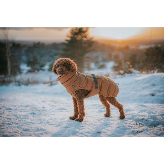 Kleidung für Haustiere Hunter PAXSON Braun Polyester