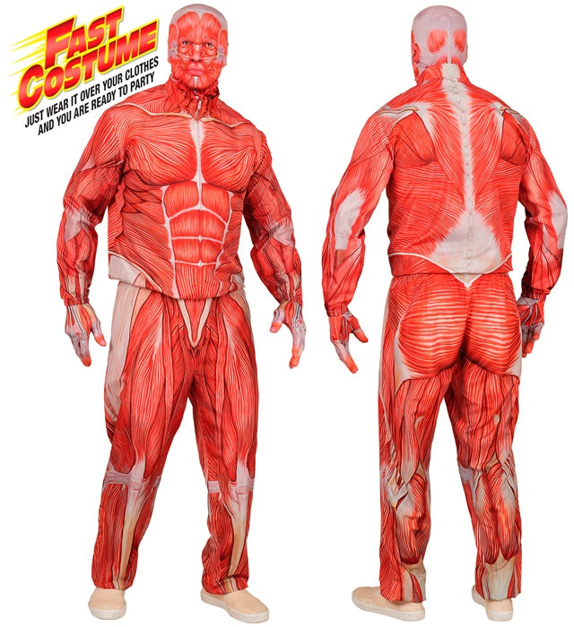 Anatomie-Kostüm mit Oberteil, Hose, Handschuhen und Maske auf weißem Hintergrund