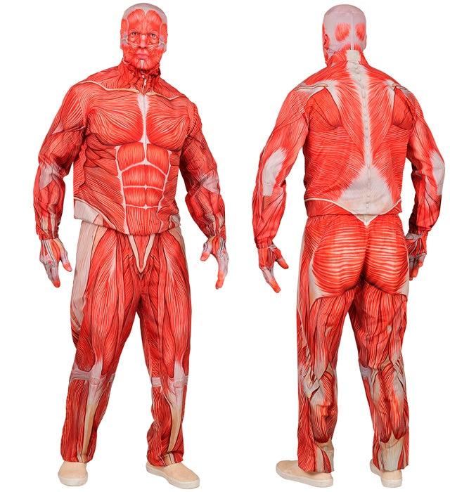 Anatomie-Kostüm mit Oberteil, Hose, Handschuhen und Maske auf weißem Hintergrund